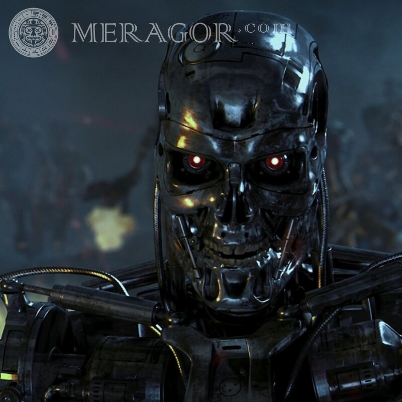Avatar do Exterminador do esqueleto do Cyborg Dos filmes Robôs