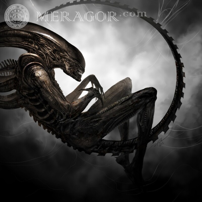 Foto com um alienígena no escuro do avatar do filme Dos filmes