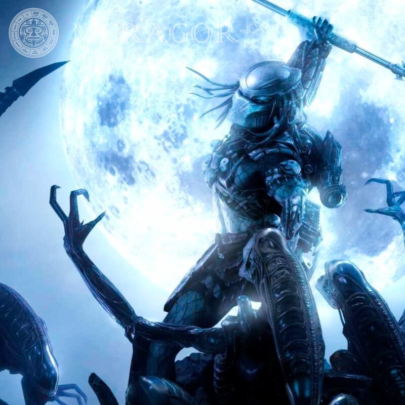 Alien vs Predator Avatar Schlacht Aus den Filmen