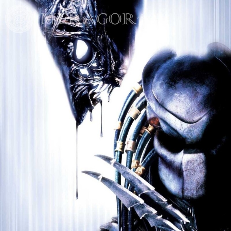 Großes Bild mit Alien und Predator auf Avatar Aus den Filmen
