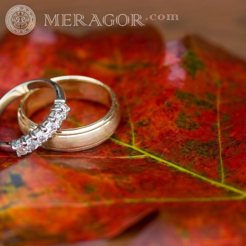 Wedding rings for icon download Holidays Love