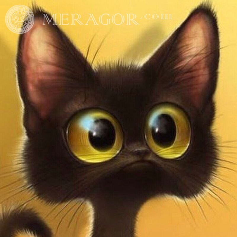 Чорний кіт на аву Коти Аніме, малюнок Смішні тварини