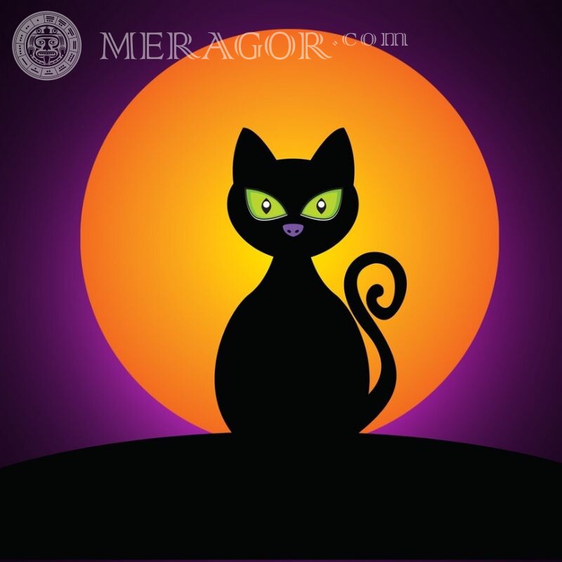 Black cat art for icon Cats