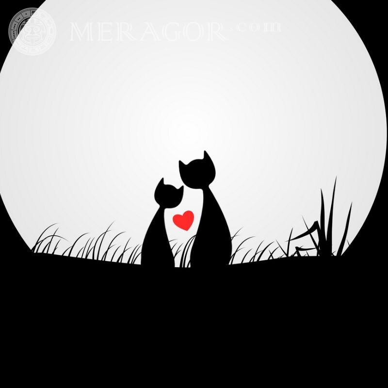 Кошки и любовь картинка на аватар Коты Аниме, рисунок Любовь
