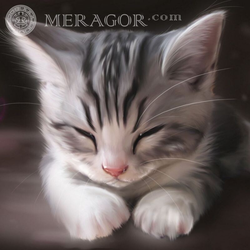 Картинка арт кішка на аву Коти
