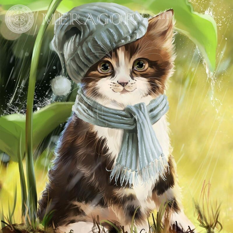 Котенок в шапке картинка на аву Коты Аниме, рисунок Смешные животные