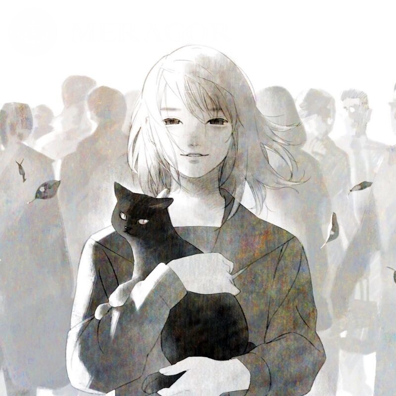 Girl with a cat for icon Cats Anime, figure Black and white