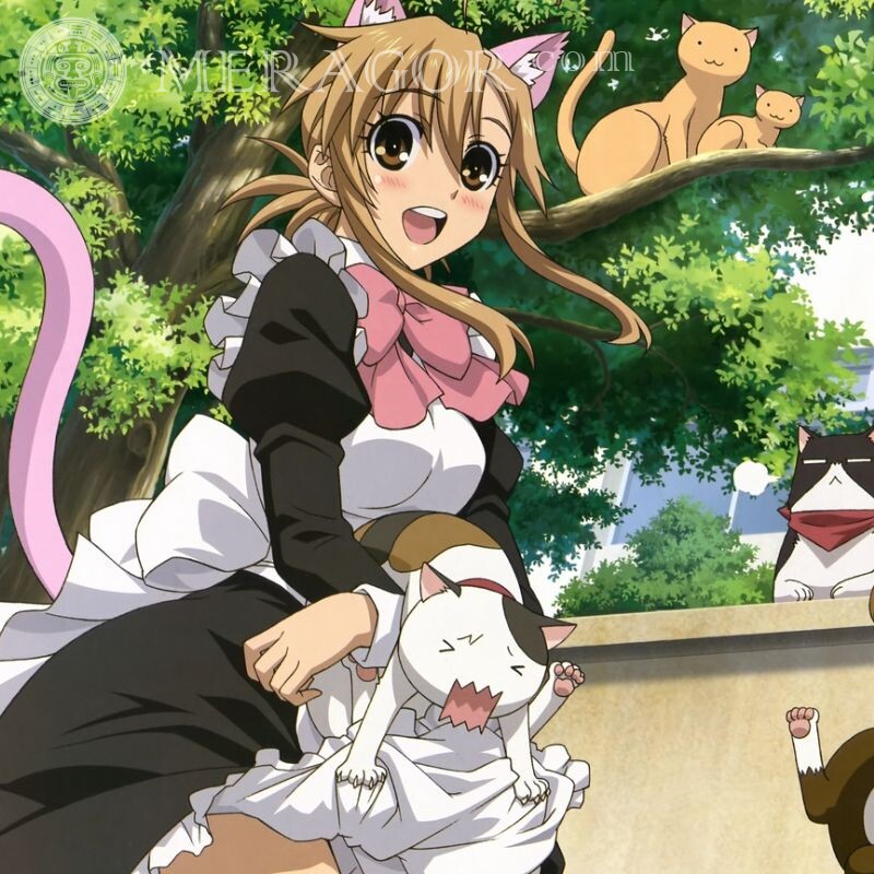 Аниме девушка с кошкой на аву Коты Аниме, рисунок
