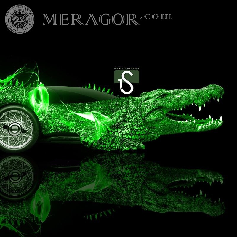 Auto Krokodil auf Avatar coole Kunst Krokodile