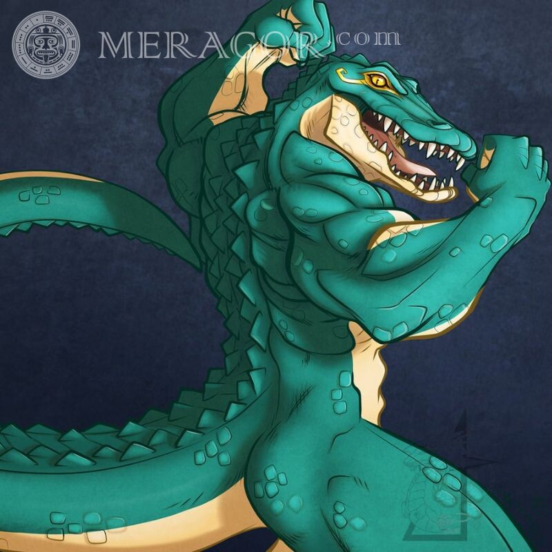 Muskulöses Krokodil-Avatarbild Krokodile Lustige Tiere