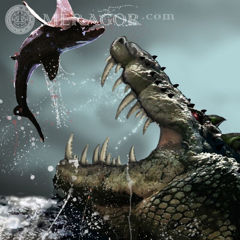 Crocodile attrape une photo de proie pour un avatar Crocodiles