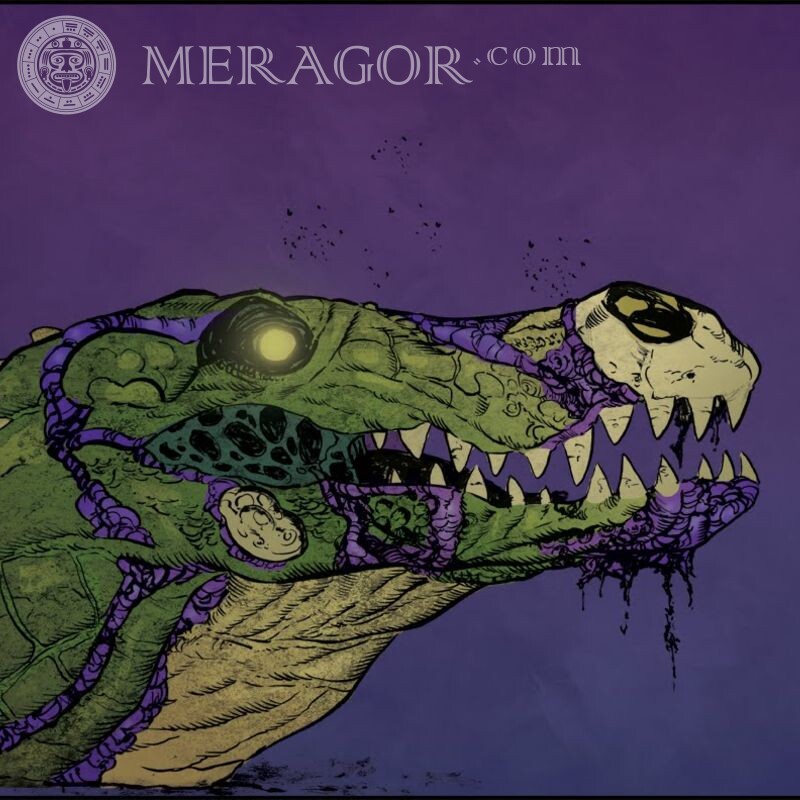 Art de crocodile sur avatar Crocodiles