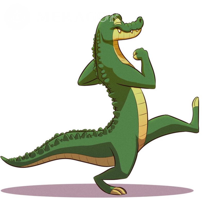 Crocodilos de desenhos animados no avatar Crocodilos Animais engraçados