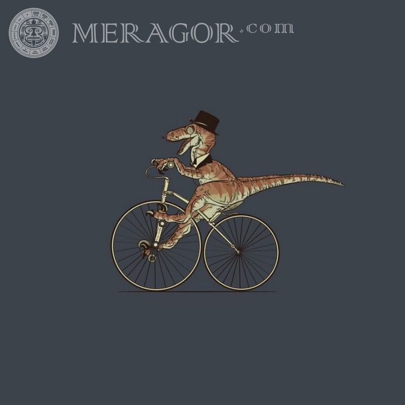 Imagen de cocodrilo avatar en bicicleta Cocodrilos Animales divertidos