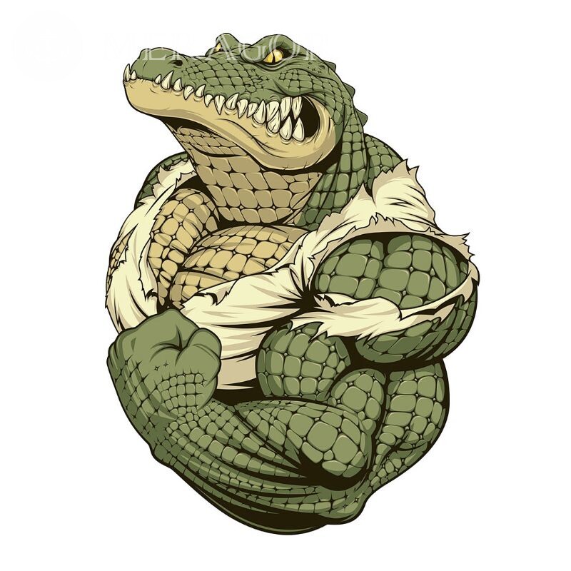 Crocodilo legal no avatar em STIM Crocodilos Para o clã Stim