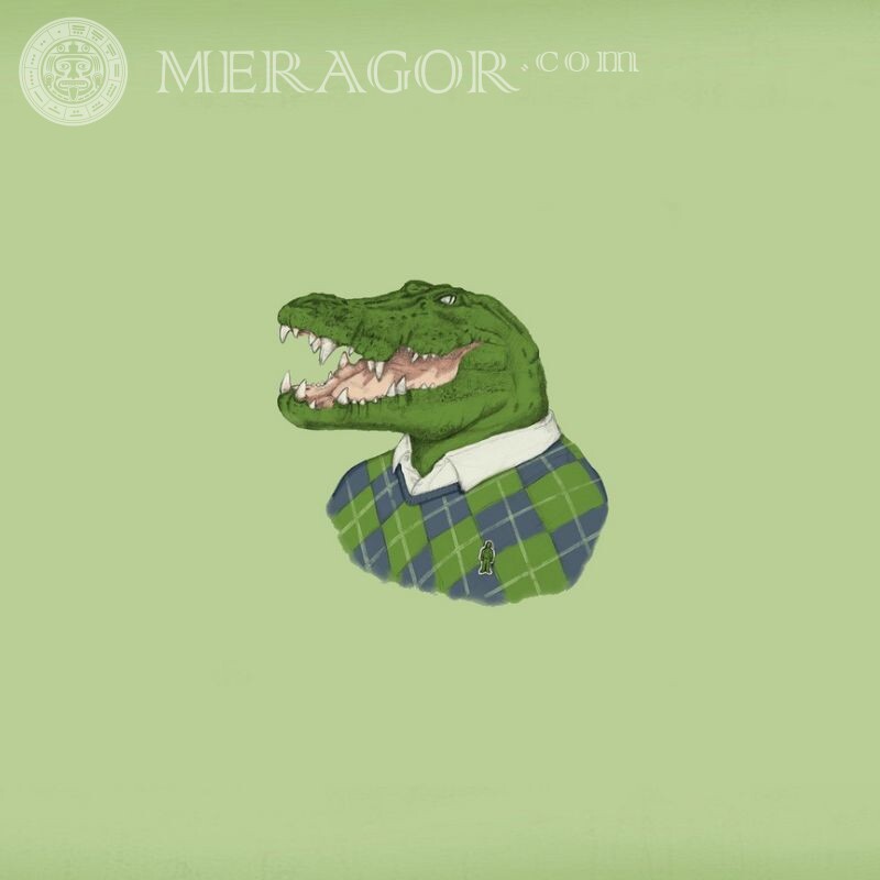 Imagem no avatar crocodilo em suéter Crocodilos Anime, desenho Engraçados