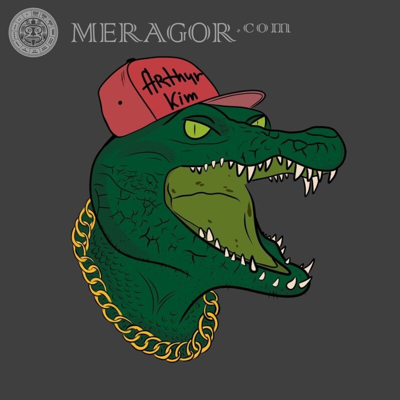 Crocodilo legal em uma imagem de avatar de boné Crocodilos Animais engraçados