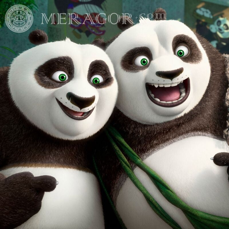 Photo de Kung Fu Panda pour avatar Ours Dessin animé Animaux drôles