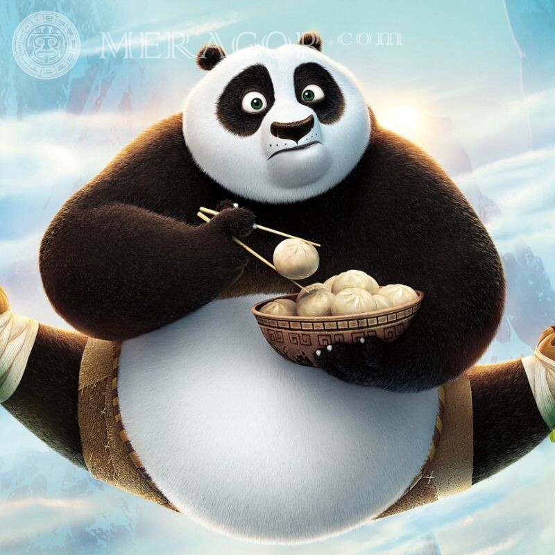 Kung Fu Panda en avatar Caricaturas Osos Animales divertidos