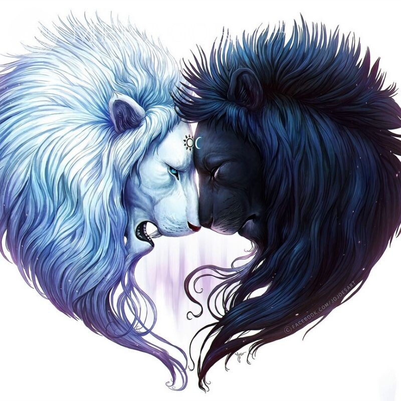 Lindos leões de arte no avatar Leões O amor