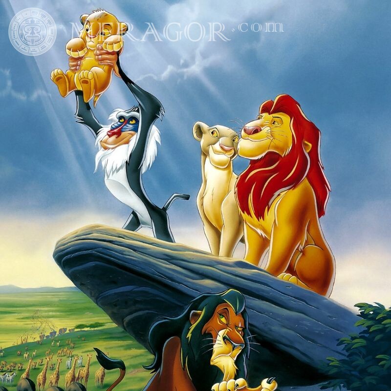 Du dessin animé Le Roi Lion à l'avatar Lions Dessin animé Famille