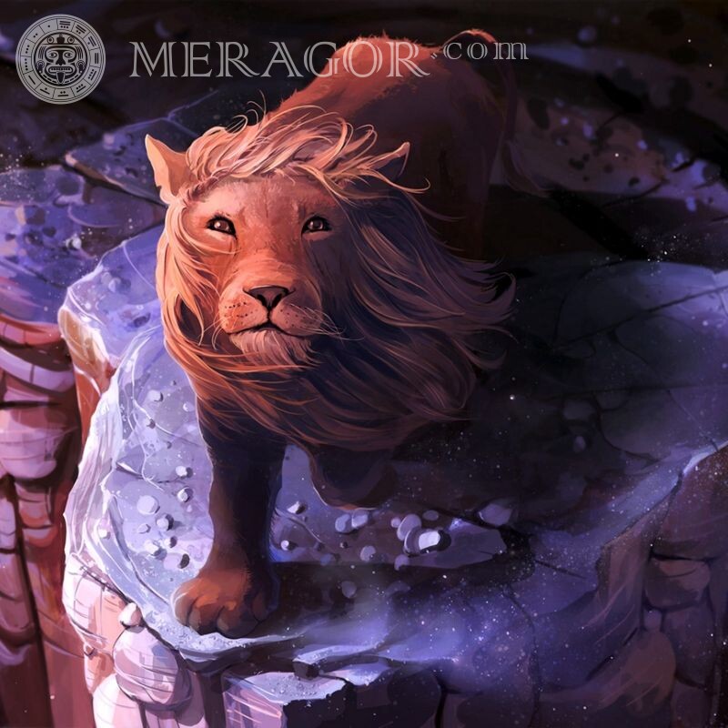 Hermoso dibujo de un león León