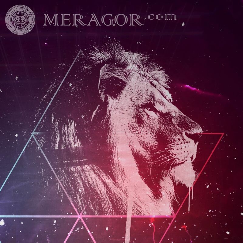 Новые аватары со львом Львы