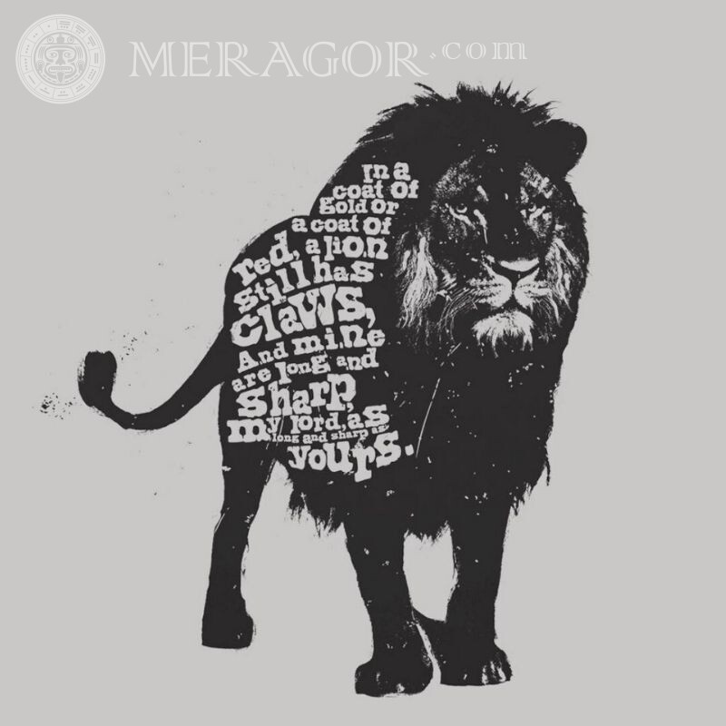 Télécharger l'avatar du lion Lions