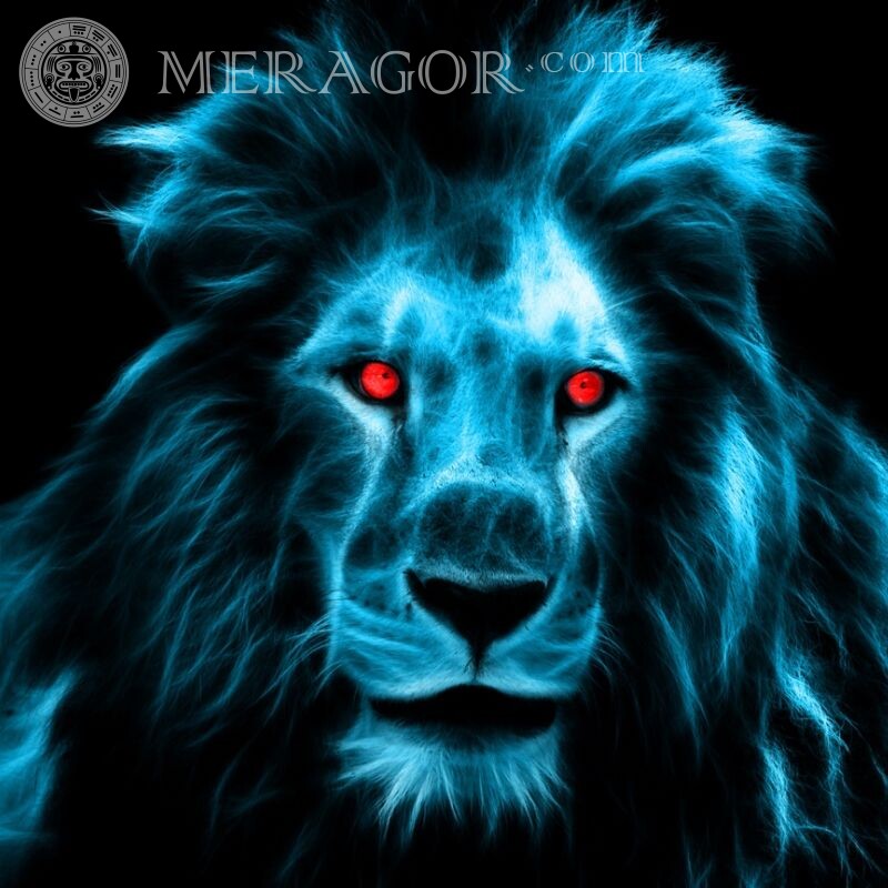 Рисунок с мордой льва на аву Львы