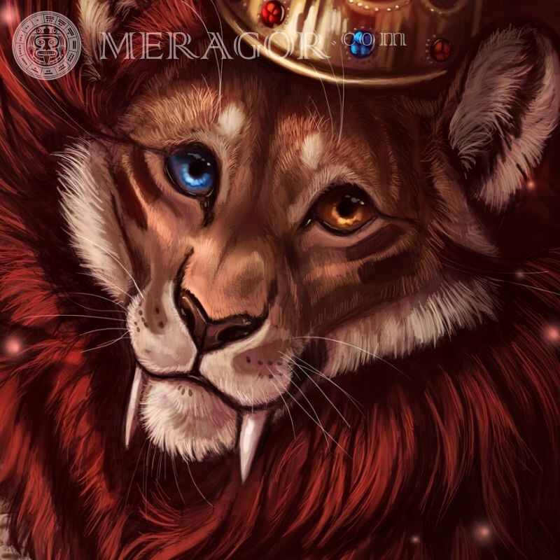 Рисунок на аву лев в короне Львы Смешные животные