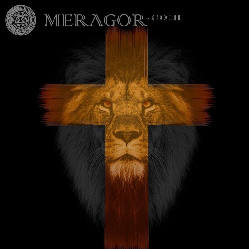 Картинки с львами на аватар Львы
