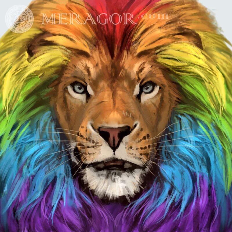 Download lion drawing for avatar Lions Abstraction