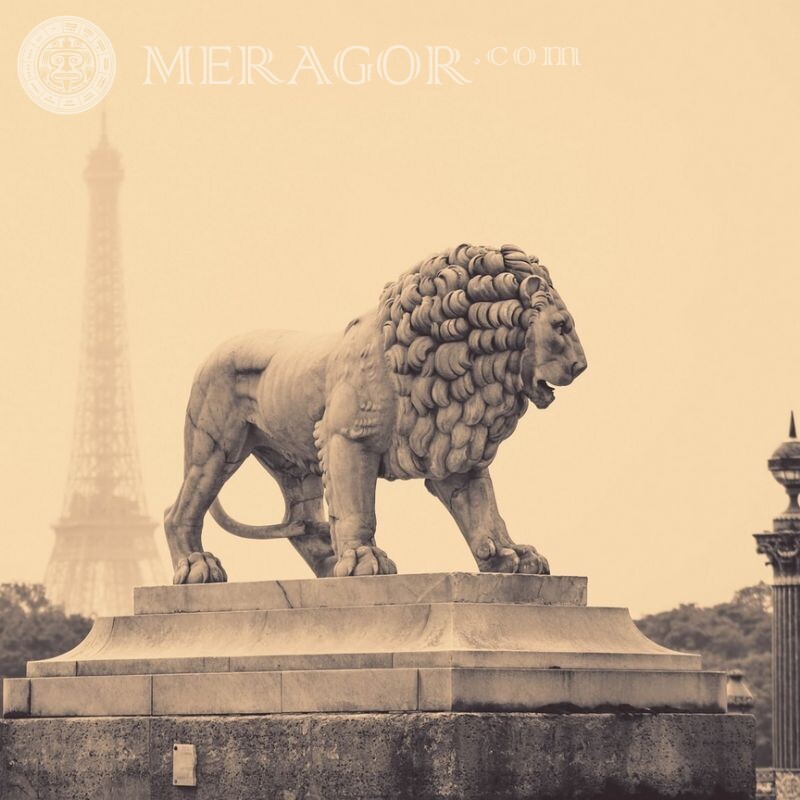 Foto da estátua do leão para avatar Leões
