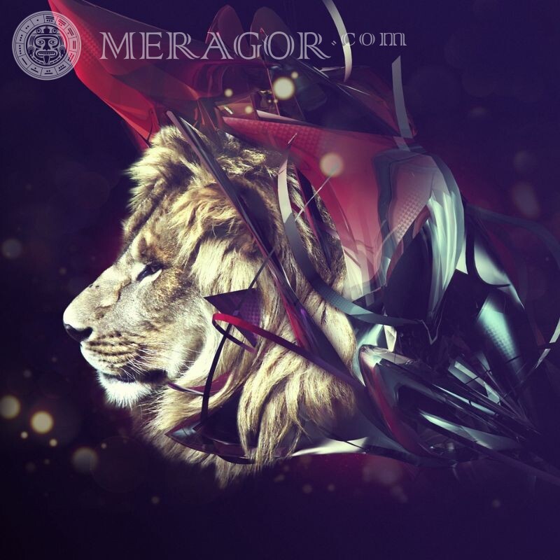 Descarga para arte de avatar con cara de león León Abstracción