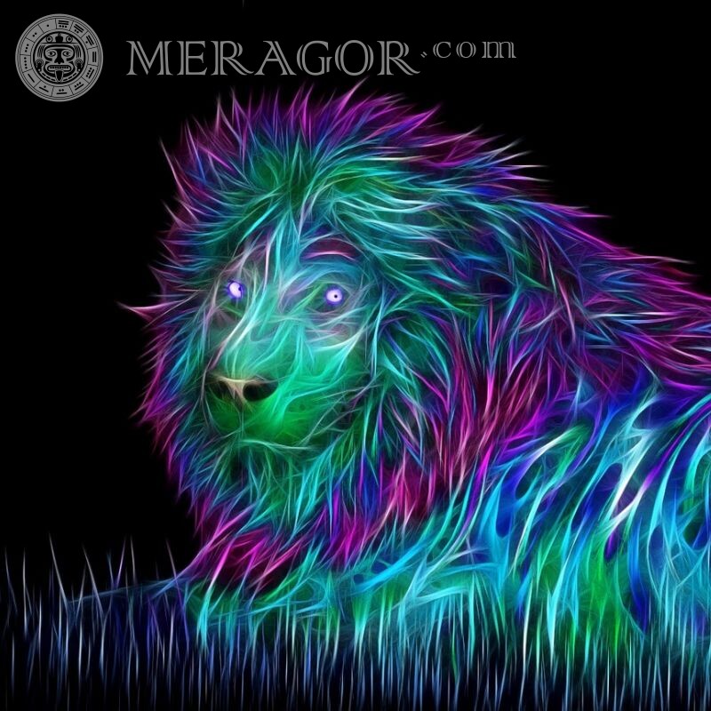 Art pictures of a lion for avatar Lions Abstraction