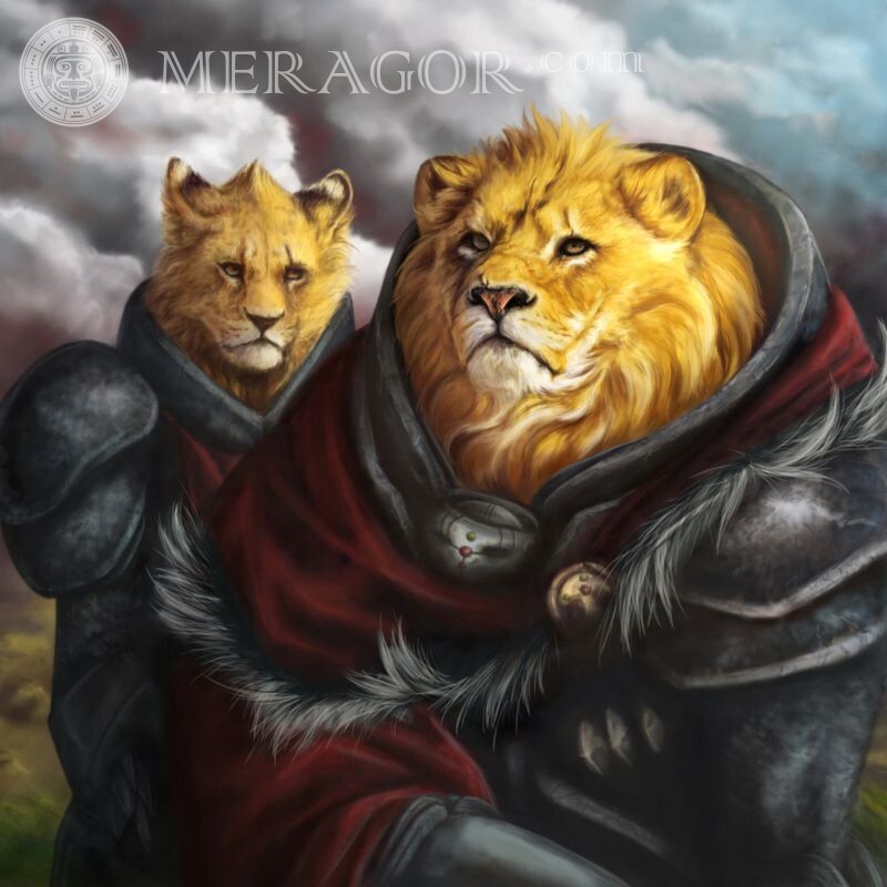 Imagem de cavaleiros leões para avatar Leões Animais engraçados