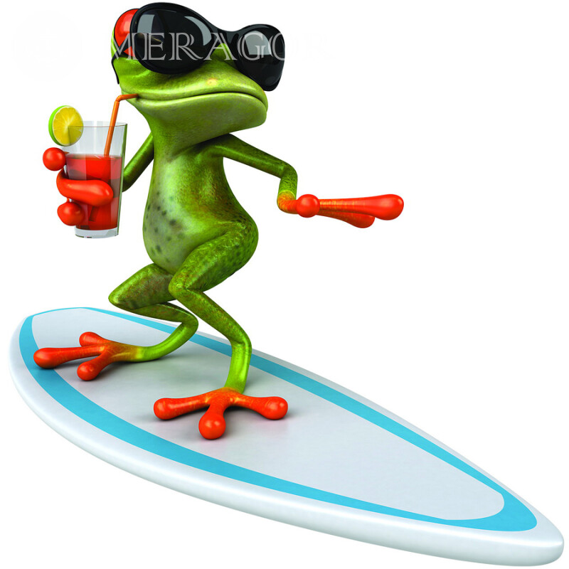 Прикольна жаба на аватарку Гумор Смішні тварини