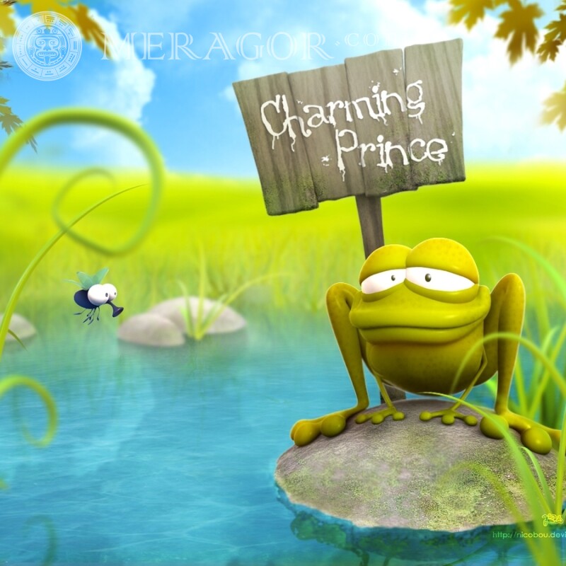 Прикольна картинка з жабою на аватарку Гумор Смішні тварини