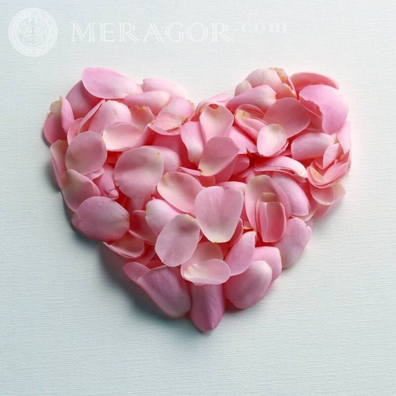 Coeur de pétales de rose pour photo de profil Fêtes Amour