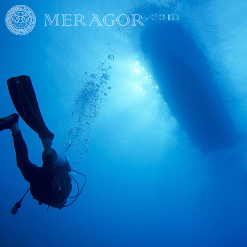 Foto com um mergulhador em um download de avatar Surf, natação No mar Rapazes