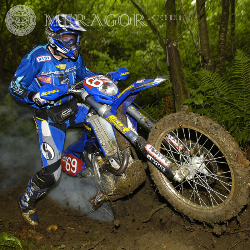 Photo de motocross télécharger sur avatar Velo, Motorsport Gars Hommes