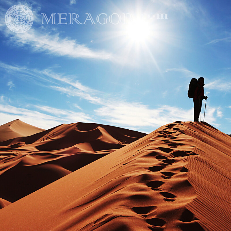 Man in the desert photo for profile picture In desert Silhouette