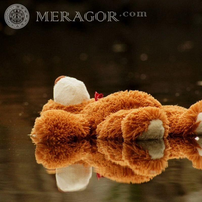 Teddybär auf einem traurigen Avatar Baer