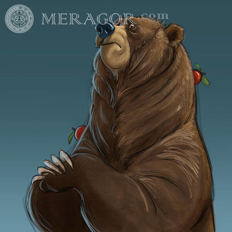 Gros ours sur avatar Ours Animé, dessin Animaux drôles