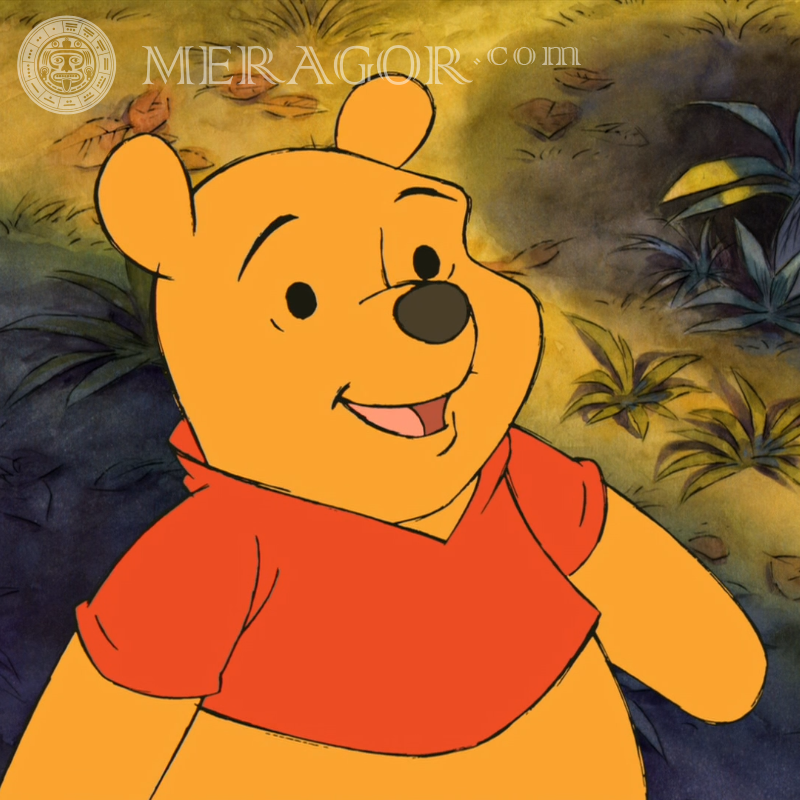 Disney Winnie the Pooh for icon Bears Cartoons