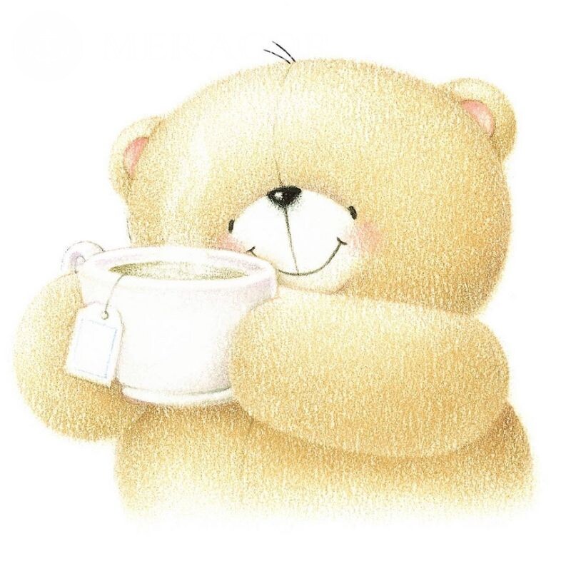 Desenho de urso no avatar Os ursos