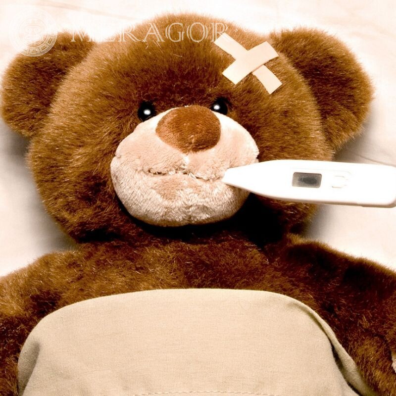Urso de pelúcia doente, avatar triste Os ursos
