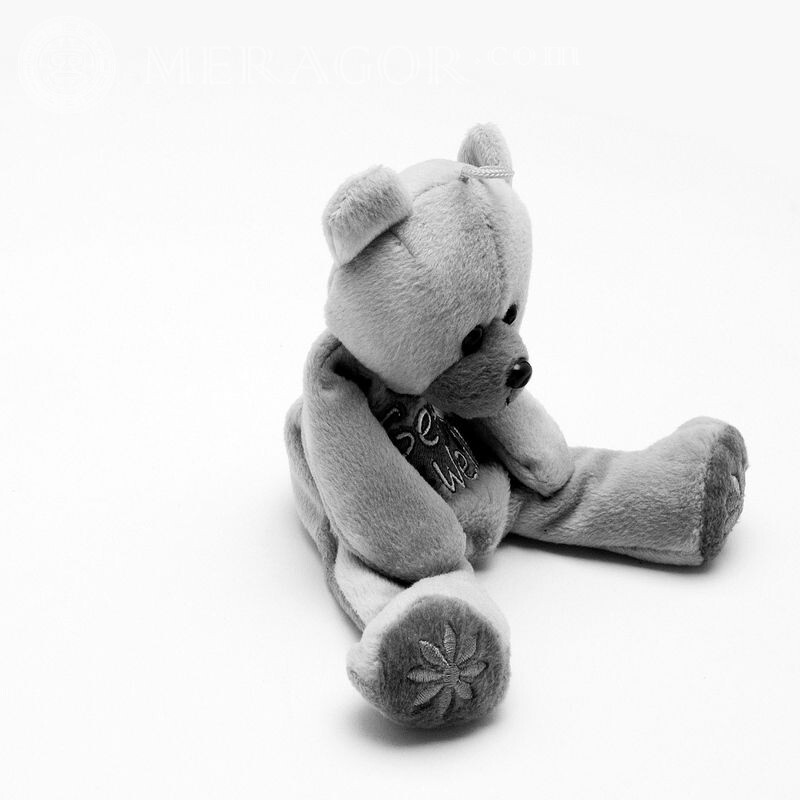 Trauriger Teddybär auf VK Avatar Baer
