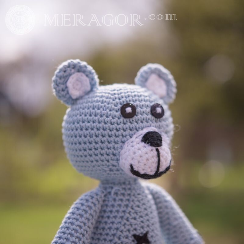 Urso de brinquedo no avatar do Instagram Os ursos