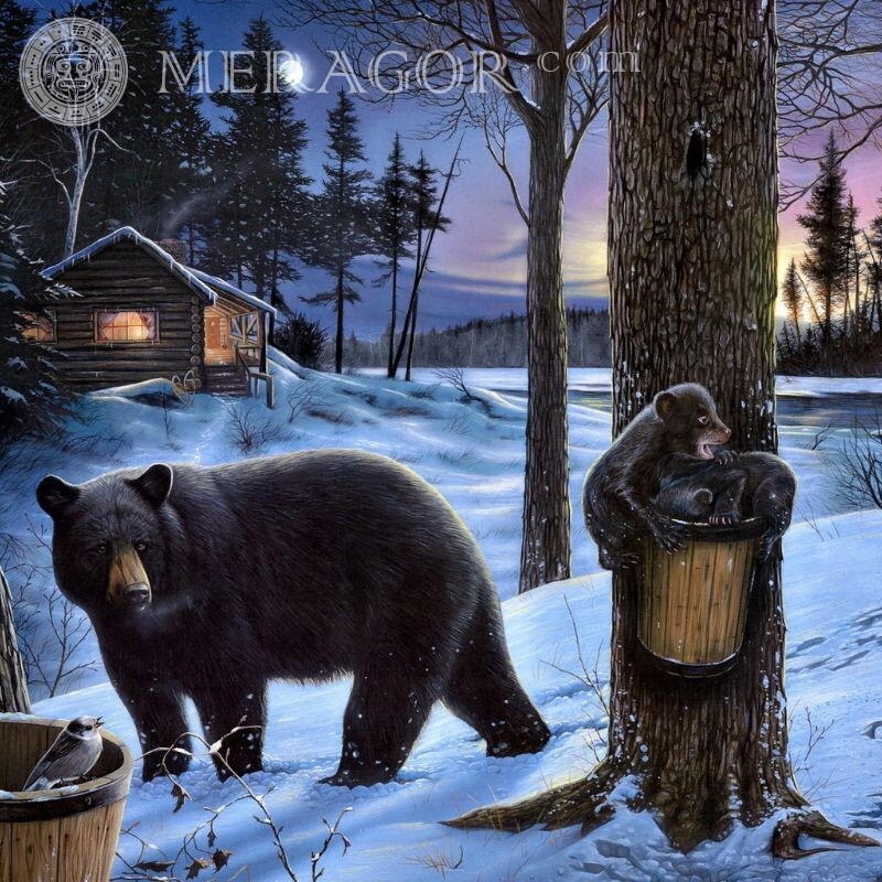 Schöner Avatar eines Bären und der Jungen Baer